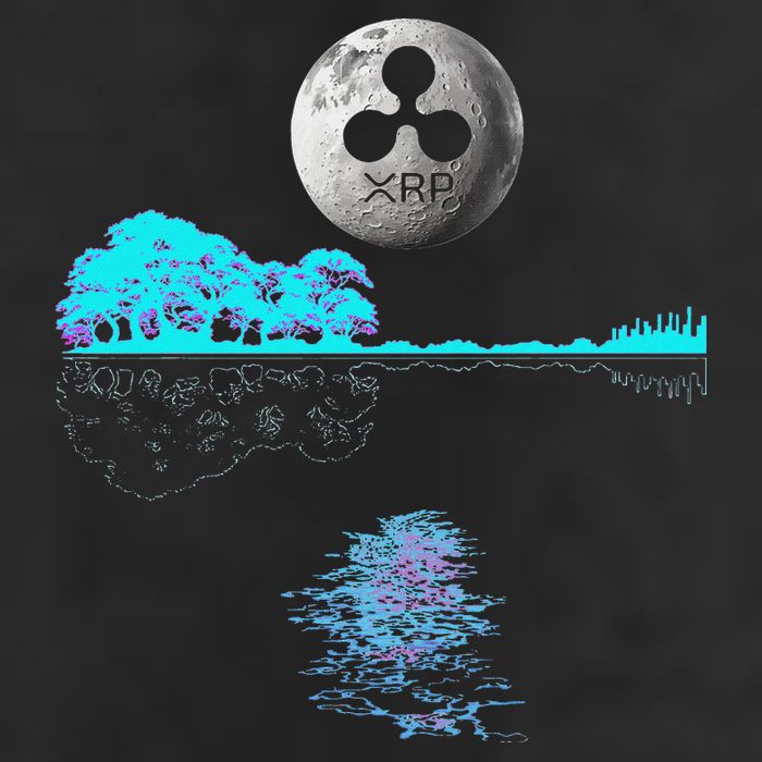 Ripple Xrp Guitar Lake Moon Ripple Hodler Beanie