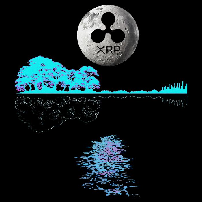 Ripple Xrp Guitar Lake Moon Ripple Hodler 16 in Basic Backpack