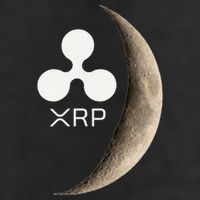 Ripple Xrp Moon Proud Ripple Hodler Cool Comfort Performance Bucket Hat