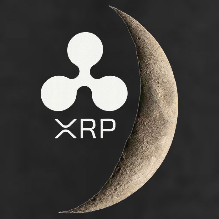 Ripple Xrp Moon Proud Ripple Hodler Cool Comfort Performance Bucket Hat