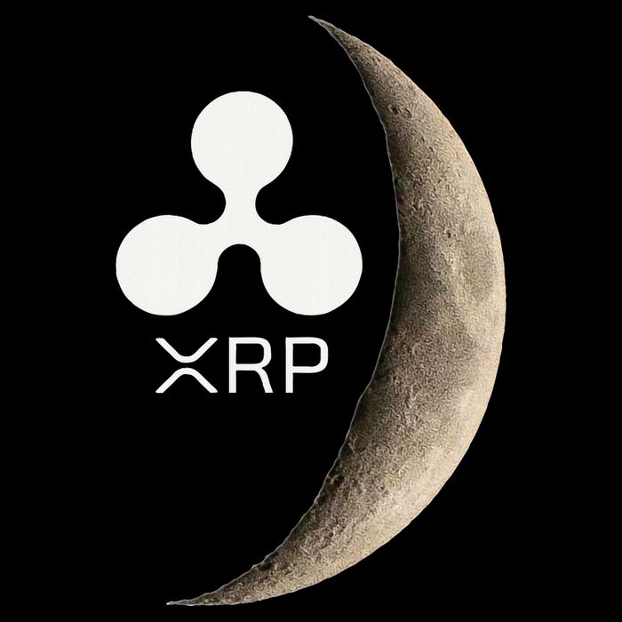 Ripple Xrp Moon Proud Ripple Hodler Cropped Pullover Crew