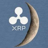 Ripple Xrp Moon Proud Ripple Hodler Garment-Dyed Sweatshirt