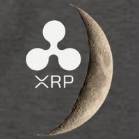 Ripple Xrp Moon Proud Ripple Hodler Vector Backpack