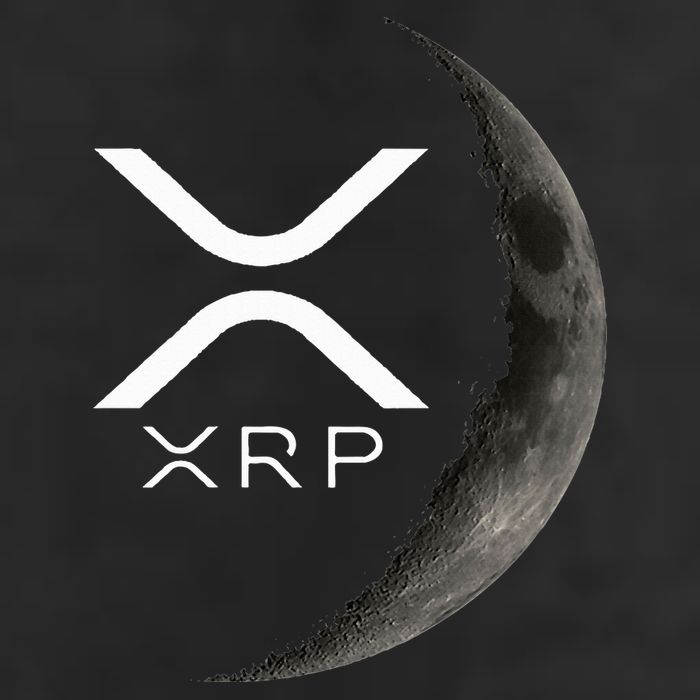 Ripple Xrp Moon Cool Comfort Performance Bucket Hat