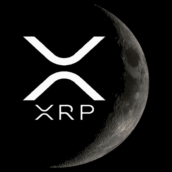 Ripple Xrp Moon Women's V-Neck T-Shirt