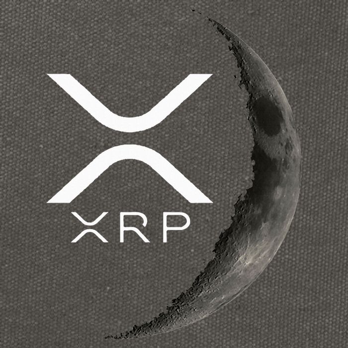 Ripple Xrp Moon Cotton Canvas Backpack