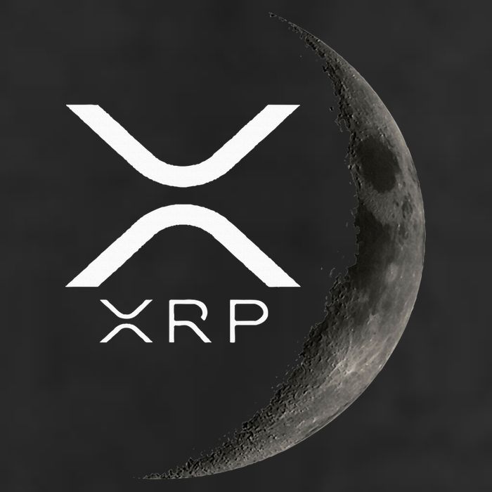 Ripple Xrp Moon Cool Comfort Performance Bucket Hat