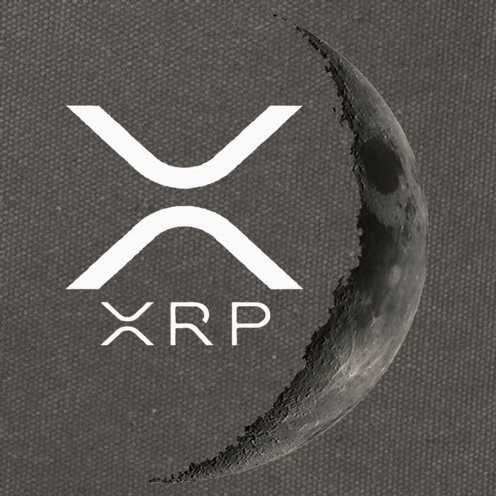 Ripple Xrp Moon Cotton Canvas Backpack