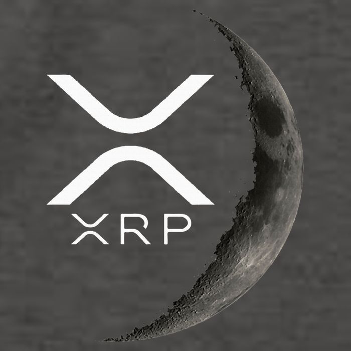 Ripple Xrp Moon Vector Backpack