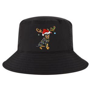 Rottweiler Xmas Santa's Reindeer Rottweiler Christmas Meaningful Gift Cool Comfort Performance Bucket Hat