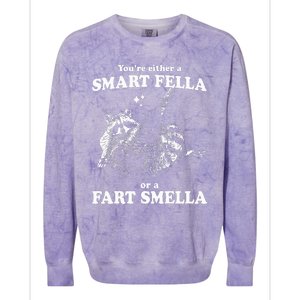 Raccoon YouRe Either A Smart Fella Or A Fart Smella Colorblast Crewneck Sweatshirt