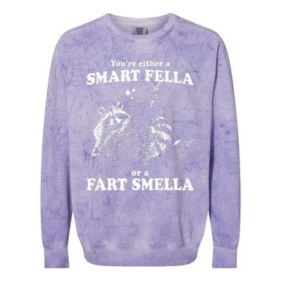 Raccoon YouRe Either A Smart Fella Or A Fart Smella Colorblast Crewneck Sweatshirt