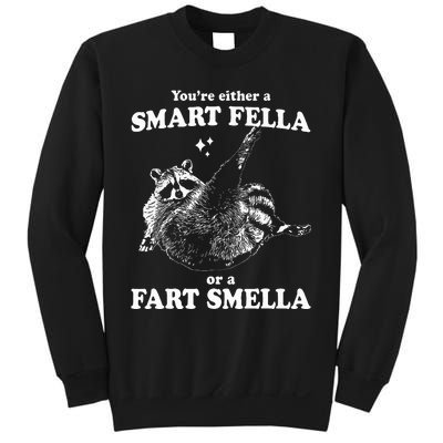 Raccoon YouRe Either A Smart Fella Or A Fart Smella Sweatshirt