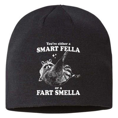 Raccoon YouRe Either A Smart Fella Or A Fart Smella Sustainable Beanie