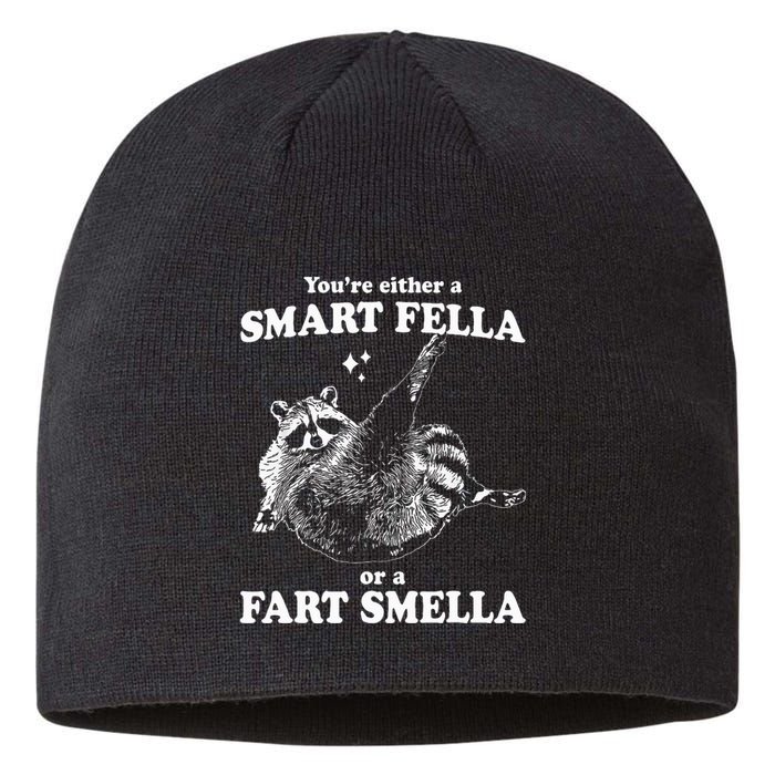 Raccoon YouRe Either A Smart Fella Or A Fart Smella Sustainable Beanie