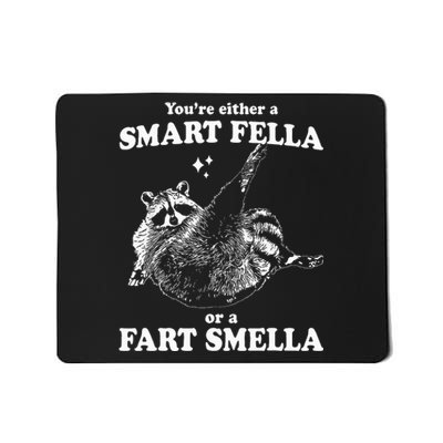 Raccoon YouRe Either A Smart Fella Or A Fart Smella Mousepad