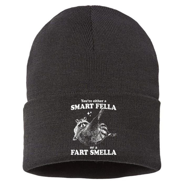 Raccoon YouRe Either A Smart Fella Or A Fart Smella Sustainable Knit Beanie