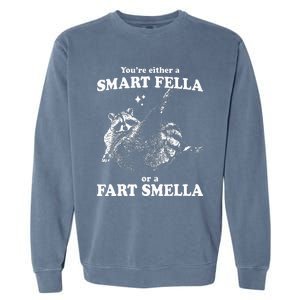 Raccoon YouRe Either A Smart Fella Or A Fart Smella Garment-Dyed Sweatshirt