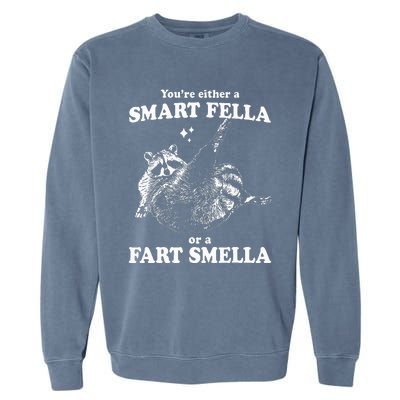 Raccoon YouRe Either A Smart Fella Or A Fart Smella Garment-Dyed Sweatshirt