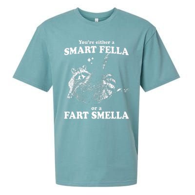 Raccoon YouRe Either A Smart Fella Or A Fart Smella Sueded Cloud Jersey T-Shirt