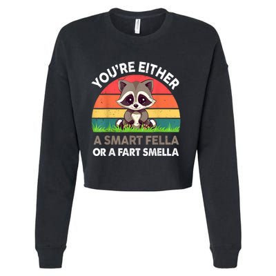 Raccoon Youre Either Smart Fella Or Fart Smella Cropped Pullover Crew