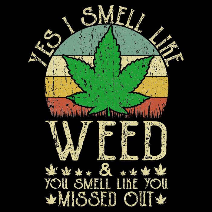 Retro Yes I Smell Like Weed You Smell Like You Missed Out Womens T-Shirt