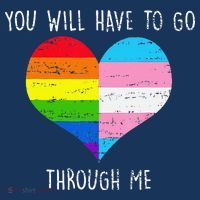 Retro You Will Have To Go Through Me Lgbtq Transg Tall T-Shirt