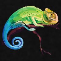 Reptile Zoo Keeper Gift Idea Lizard Safari Chameleon Ladies PosiCharge Tri-Blend Wicking Tank