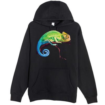 Reptile Zoo Keeper Gift Idea Lizard Safari Chameleon Premium Pullover Hoodie