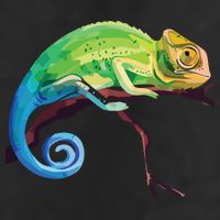 Reptile Zoo Keeper Gift Idea Lizard Safari Chameleon Premium Pullover Hoodie