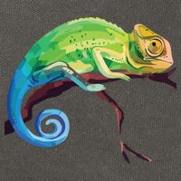 Reptile Zoo Keeper Gift Idea Lizard Safari Chameleon Cotton Canvas Backpack