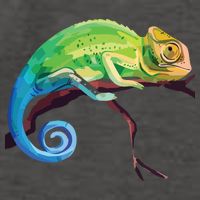 Reptile Zoo Keeper Gift Idea Lizard Safari Chameleon Vector Backpack