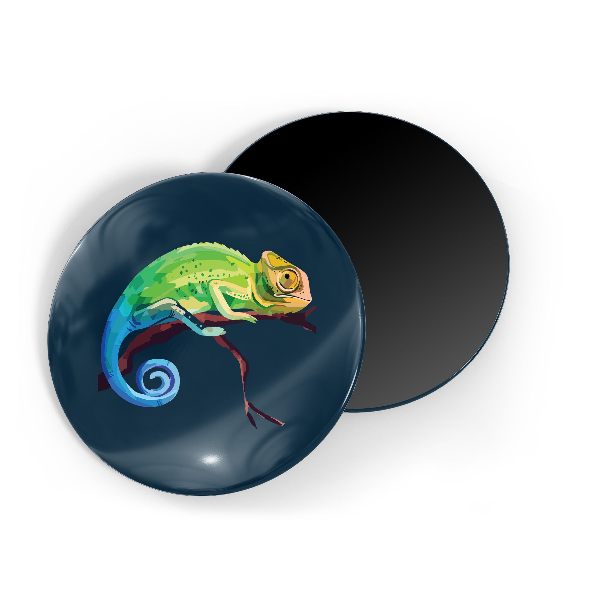 Reptile Zoo Keeper Gift Idea Lizard Safari Chameleon Magnet