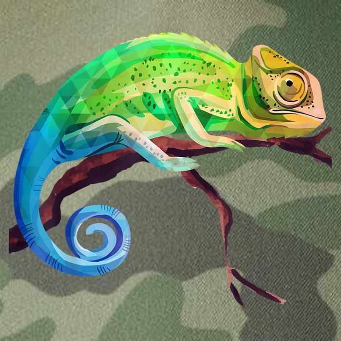 Reptile Zoo Keeper Idea Lizard Safari Chameleon Legacy Tie Dye Trucker Hat