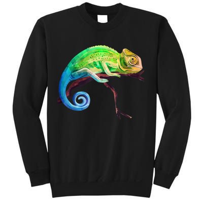 Reptile Zoo Keeper Idea Lizard Safari Chameleon Sweatshirt