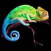 Reptile Zoo Keeper Idea Lizard Safari Chameleon Sustainable Bucket Hat