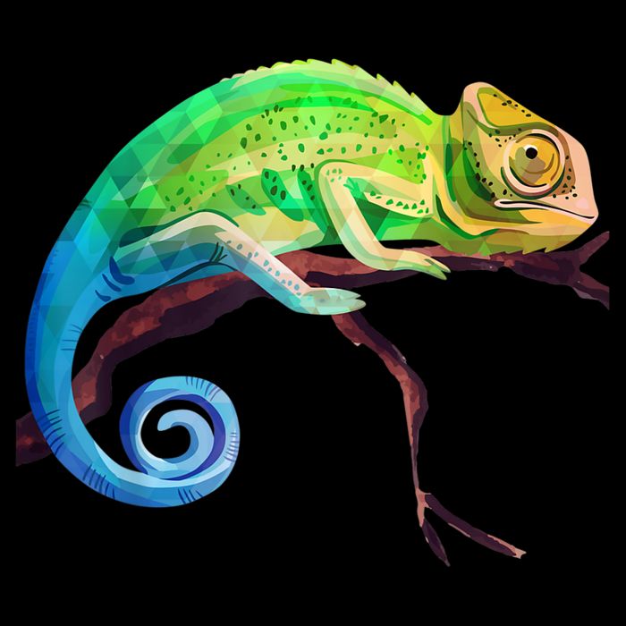 Reptile Zoo Keeper Idea Lizard Safari Chameleon Sustainable Bucket Hat