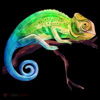 Reptile Zoo Keeper Idea Lizard Safari Chameleon Premium T-Shirt