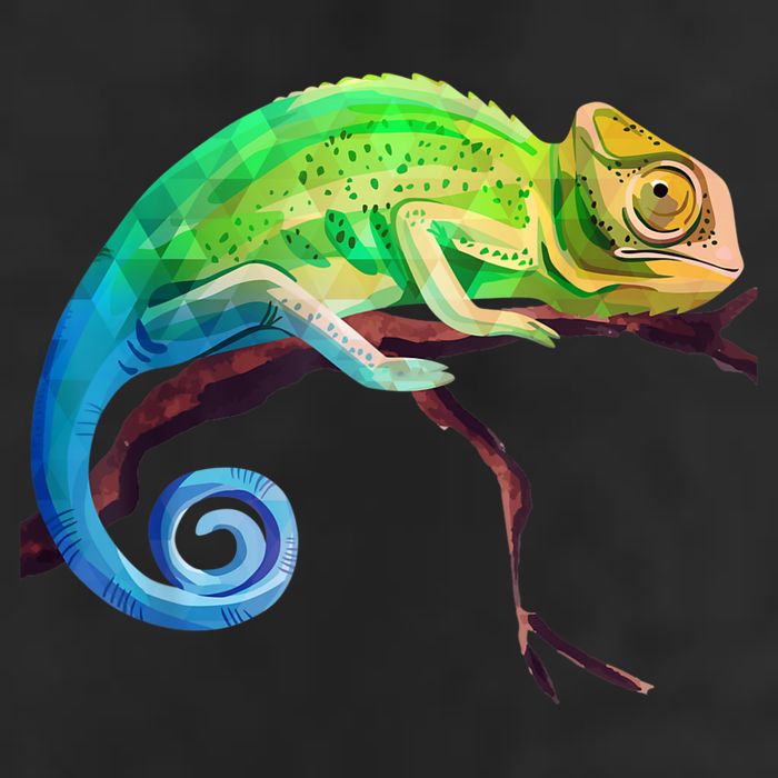 Reptile Zoo Keeper Idea Lizard Safari Chameleon Microfiber Hand Towel