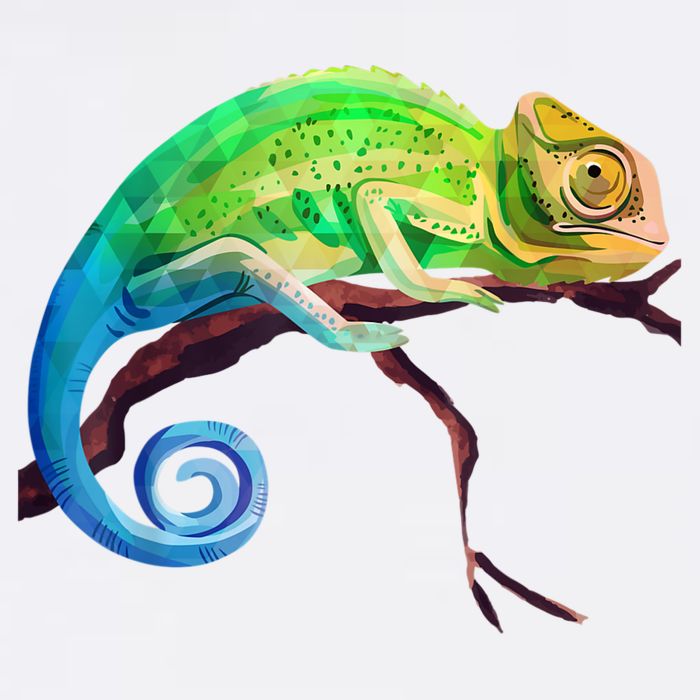 Reptile Zoo Keeper Idea Lizard Safari Chameleon Garment-Dyed Sweatshirt
