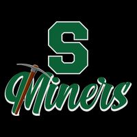S Minors Sport Team Logo Flatbill Hat