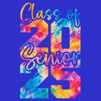 Senior 2025 Class Of 25 Gift High School College Graduation Cool Gift Visor