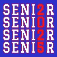 Senior 2025 College University High School Class Of 2025 Cool Gift Long Sleeve Shirt