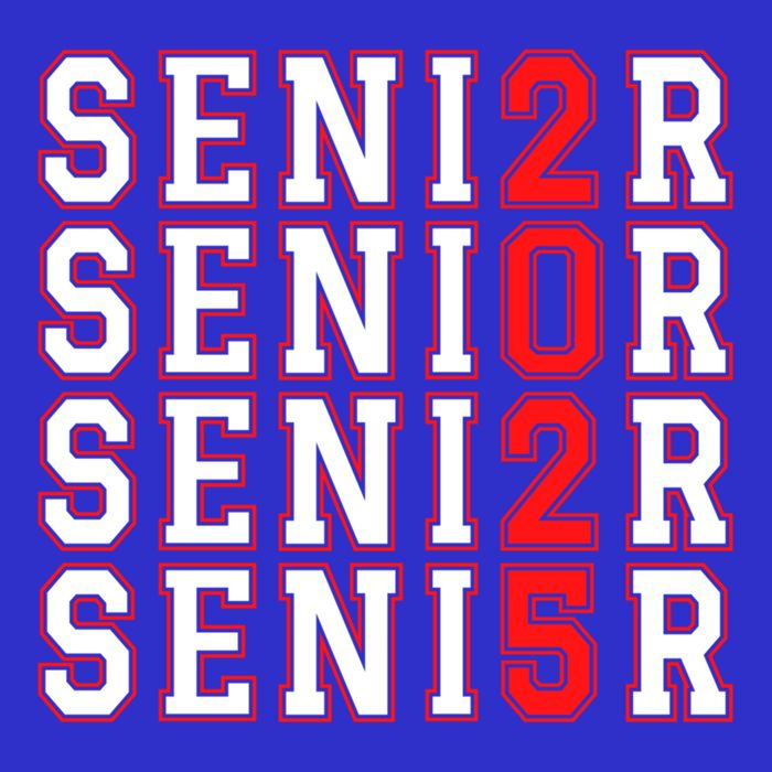 Senior 2025 College University High School Class Of 2025 Cool Gift Long Sleeve Shirt