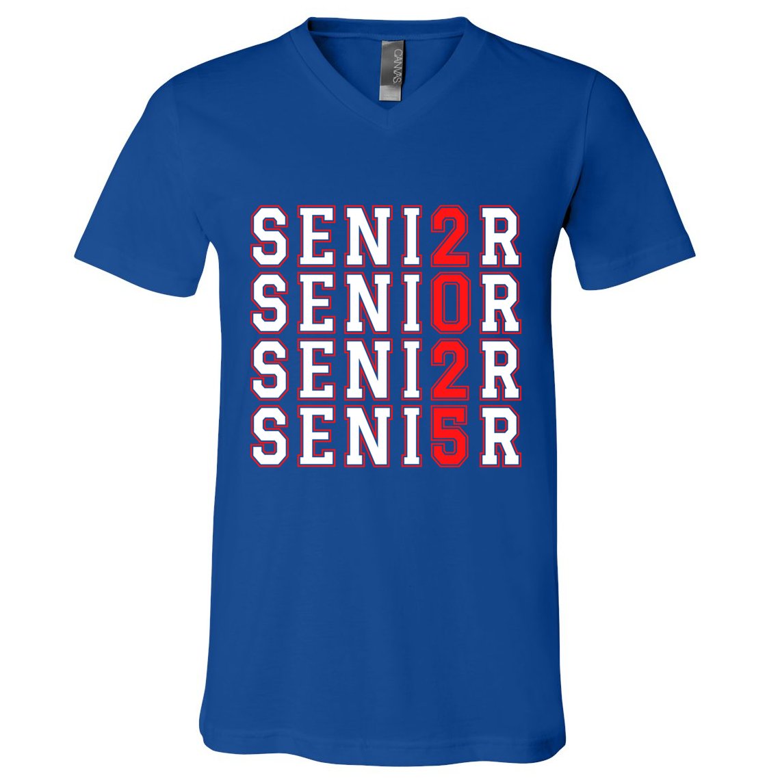 Senior 2025 College University High School Class Of 2025 Cool Gift V-Neck T-Shirt