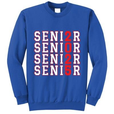 Senior 2025 College University High School Class Of 2025 Cool Gift Tall Sweatshirt