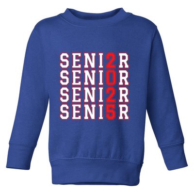 Senior 2025 College University High School Class Of 2025 Cool Gift Toddler Sweatshirt