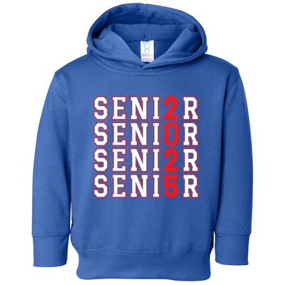 Senior 2025 College University High School Class Of 2025 Cool Gift Toddler Hoodie
