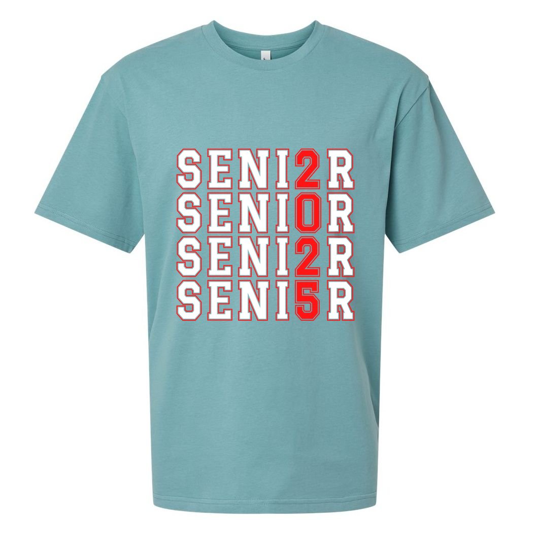 Senior 2025 College University High School Class Of 2025 Cool Gift Sueded Cloud Jersey T-Shirt