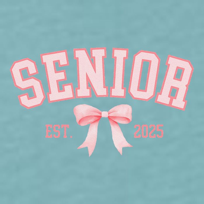 Senior 2025 Coquette Class Of 2025 P.Ink Bows Retro Gift Sueded Cloud Jersey T-Shirt